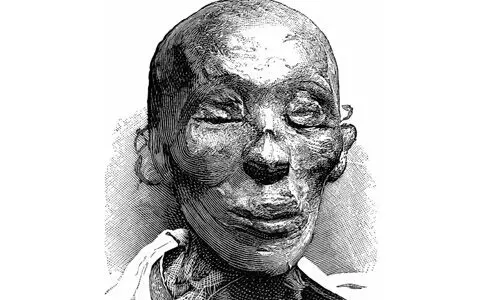 തത്മോസ് ഫറോവയുടെ ശവകുടീരം കണ്ടെത്തി തത്മോസ് ഫറോവയുടെ ശവകുടീരം കണ്ടെത്തി