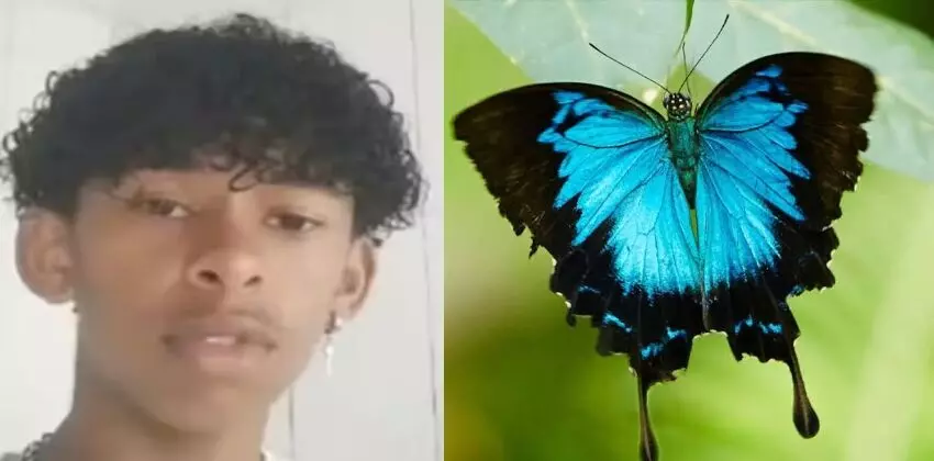 പൂമ്പാറ്റയുടെ അവശിഷ്ടം ശരീരത്തിൽ കുത്തി വച്ചു; അവശനിലയിലായ കുട്ടി മരിച്ചു