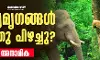 വന്യമൃഗങ്ങള്‍ എന്തു പിഴച്ചു?