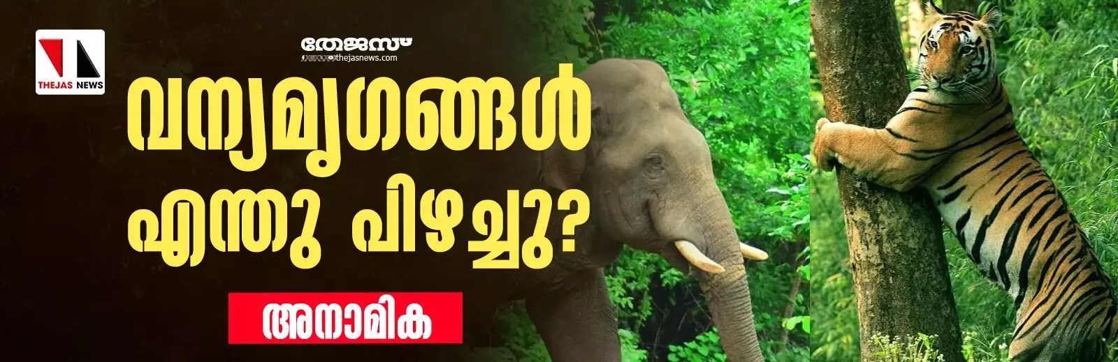വന്യമൃഗങ്ങള് എന്തു പിഴച്ചു? വന്യമൃഗങ്ങള് എന്തു പിഴച്ചു?