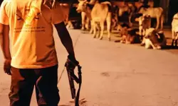 เดเตเดดเดฟเดฏเตเด เดฎเตเดจเตเดฎเดพเดฏเดฟ เดชเตเดตเตเดเดฏเดพเดฏเดฟเดฐเตเดจเตเดจ เดตเดพเดนเดจเดคเตเดคเดฟเดจเต เดจเตเดฐเต เดนเดฟเดจเตเดฆเตเดคเตเดต เดเดเตเดฐเดฎเดฃเด เดเตเดดเดฟเดฏเตเด เดฎเตเดจเตเดฎเดพเดฏเดฟ เดชเตเดตเตเดเดฏเดพเดฏเดฟเดฐเตเดจเตเดจ เดตเดพเดนเดจเดคเตเดคเดฟเดจเต เดจเตเดฐเต เดนเดฟเดจเตเดฆเตเดคเตเดต เดเดเตเดฐเดฎเดฃเด