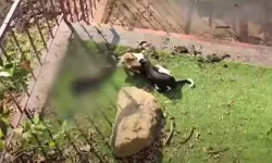 เด
เดเดณเดฟ เดเดต. เดเดฒเตโเดชเดฟ เดธเตโเดเตเดณเตโ เดชเดฐเดฟเดธเดฐเดคเตเดคเต เดชเตเดฒเดฟ เดเดฑเดเตเดเดฟเดฏเตเดจเตเดจเต เดธเดเดถเดฏเด เด
เดเดณเดฟ เดเดต. เดเดฒเตโเดชเดฟ เดธเตโเดเตเดณเตโ เดชเดฐเดฟเดธเดฐเดคเตเดคเต เดชเตเดฒเดฟ เดเดฑเดเตเดเดฟเดฏเตเดจเตเดจเต เดธเดเดถเดฏเด