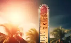 സംസ്ഥാനത്ത് ഉഷ്ണതരംഗത്തിനു സാധ്യത