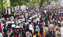 ആശാ വര്‍ക്കര്‍മാരുടെ ഓണറേറിയം കുടിശ്ശിക അനുവദിച്ച് സര്‍ക്കാര്‍