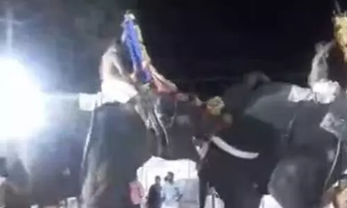 ഉല്സവത്തിനിടെ ഇടഞ്ഞ ആന മറ്റൊരു ആനയെ കുത്തി ഉല്സവത്തിനിടെ ഇടഞ്ഞ ആന മറ്റൊരു ആനയെ കുത്തി