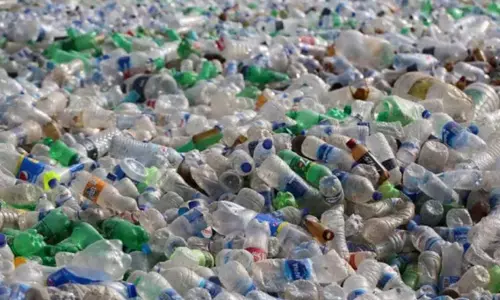 വിവാഹ സത്കാരത്തില്‍ നിന്നും പ്ലാസ്റ്റിക് കുപ്പികള്‍ ഒഴിവാക്കിക്കൂടെ? : ഹൈക്കോടതി