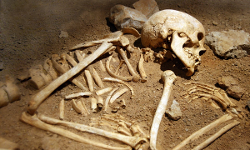 കൊല്ലത്ത് പള്ളി സെമിത്തേരിക്ക് സമീപം സ്യൂട്ട്കേസിനുള്ളില് അസ്ഥികൂടം കണ്ടെത്തി കൊല്ലത്ത് പള്ളി സെമിത്തേരിക്ക് സമീപം സ്യൂട്ട്കേസിനുള്ളില് അസ്ഥികൂടം കണ്ടെത്തി