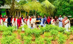 പച്ചക്കറി കൃഷിയില് നൂറ് മേനി വിളവെടുപ്പ് നടത്തി പരപ്പനങ്ങാടി നഗരസഭ കുടുംബശ്രീ മാതൃകയായി പച്ചക്കറി കൃഷിയില് നൂറ് മേനി വിളവെടുപ്പ് നടത്തി പരപ്പനങ്ങാടി നഗരസഭ കുടുംബശ്രീ മാതൃകയായി