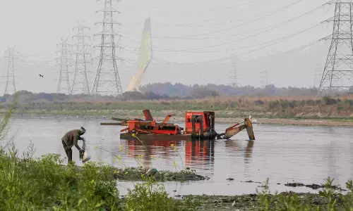 23 നദികള്‍ ഗുണനിലവാര പരിശോധനയില്‍ പരാജയപ്പെട്ടു, ഡല്‍ഹിയില്‍ യമുന നദിക്ക് ജീവന്‍ നിലനിര്‍ത്താന്‍ കഴിയുന്നില്ല: പാര്‍ലമെന്ററി പാനല്‍ റിപോര്‍ട്ട്