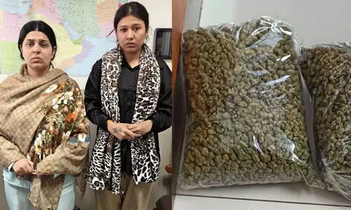 നെടുമ്പാശ്ശേരി വിമാനത്താവളത്തില് വന് കഞ്ചാവ് വേട്ട; 15 കിലോഗ്രാം ഹൈബ്രിഡ് കഞ്ചാവുമായി രണ്ടുപേര് അറസ്റ്റില് നെടുമ്പാശ്ശേരി വിമാനത്താവളത്തില് വന് കഞ്ചാവ് വേട്ട; 15 കിലോഗ്രാം ഹൈബ്രിഡ് കഞ്ചാവുമായി രണ്ടുപേര് അറസ്റ്റില്