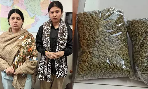 നെടുമ്പാശ്ശേരി വിമാനത്താവളത്തില്‍ വന്‍ കഞ്ചാവ് വേട്ട; 15 കിലോഗ്രാം ഹൈബ്രിഡ് കഞ്ചാവുമായി രണ്ടുപേര്‍ അറസ്റ്റില്‍