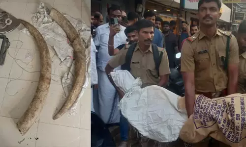 നിലമ്പൂര്‍ എടക്കരയില്‍ ആനക്കൊമ്പുകള്‍ പിടിച്ചെടുത്തു; എട്ടുപേര്‍ അറസ്റ്റില്‍