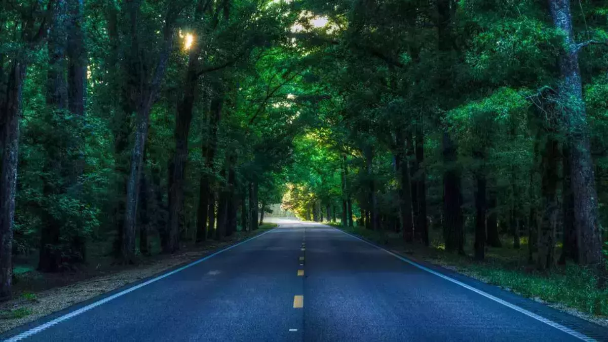 ബന്ദിപ്പൂര്‍ രാത്രിയാത്ര നിരോധനം; മുഴുവന്‍ സമയവും അടച്ചിടാന്‍ കര്‍ണാടക; നിരോധനം നീക്കണമെന്ന് കേരളം