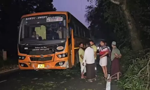 റോഡില്‍ വീണ മാവിന്‍ കൊമ്പില്‍ നിന്ന് മാങ്ങ പറിക്കുമ്പോള്‍ കെഎസ്ആര്‍ടിസി ബസ് ഇടിച്ചു; മൂന്നുപേര്‍ക്ക് പരിക്ക്