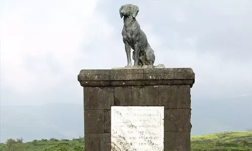ശിവാജിക്ക് നായ ഉണ്ടായിരുന്നില്ലെന്ന്; റായ്ഗഡ് കോട്ടയിലെ വാഗ്യ പ്രതിമ നീക്കം ചെയ്യണമെന്ന് പിന്‍ഗാമി