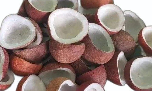 വെളിച്ചെണ്ണക്ക് വില കൂടുന്നു; ഒരു മാസത്തിനിടെ കൂടിയത് 35 രൂപ