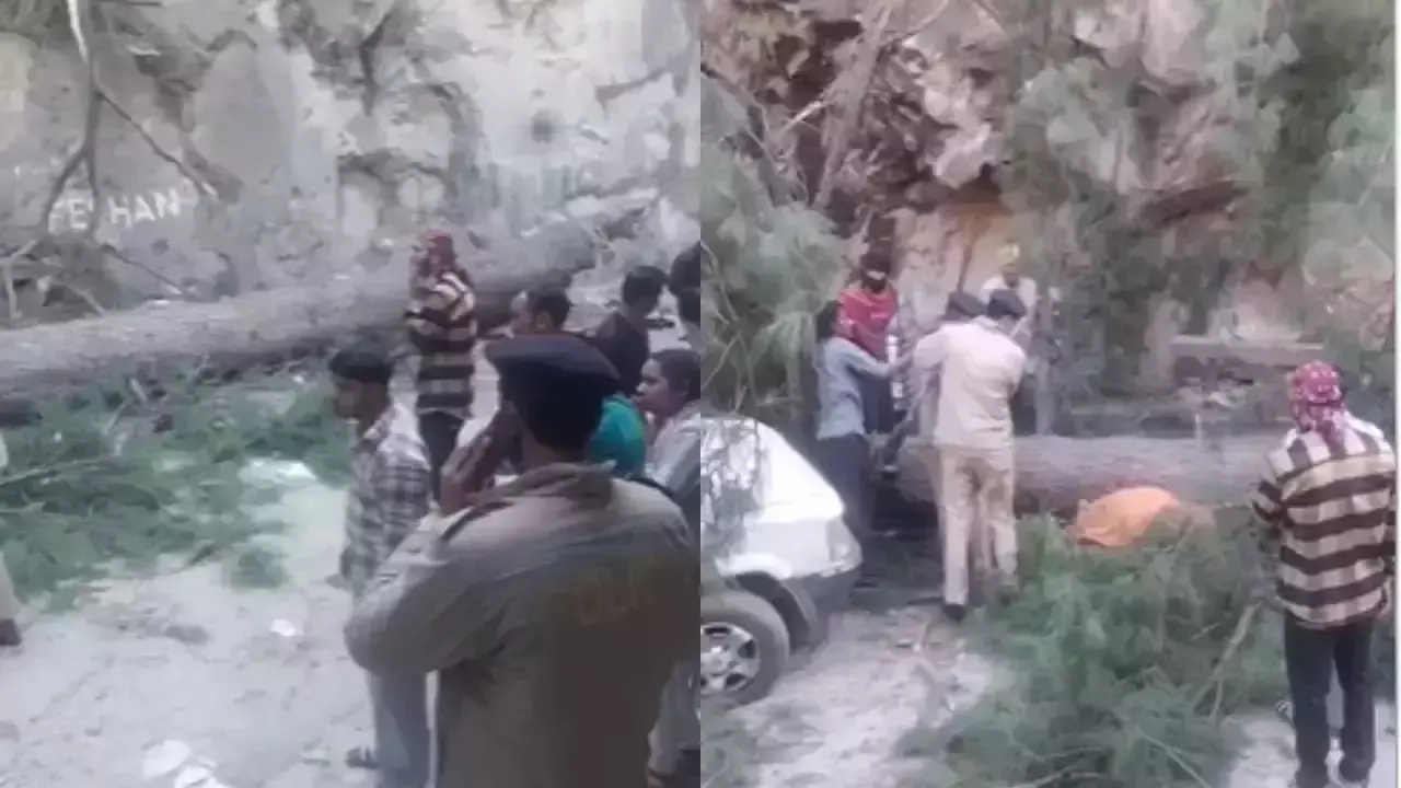 เดเตเดณเตเดตเดฟเดฒเตโ เดฎเดฃเตเดฃเดฟเดเดฟเดเตเดเดฟเดฒเตโ; เดตเดพเดนเดจเดเตเดเดณเตเดเต เดฎเตเดเดณเดฟเดฒเตเดเตเดเต เดฎเดฐเด เดเดเดชเตเดดเดเดฟ เดตเตเดฃเต, เดเดฑเต เดฎเดฐเดฃเด เดเตเดณเตเดตเดฟเดฒเตโ เดฎเดฃเตเดฃเดฟเดเดฟเดเตเดเดฟเดฒเตโ; เดตเดพเดนเดจเดเตเดเดณเตเดเต เดฎเตเดเดณเดฟเดฒเตเดเตเดเต เดฎเดฐเด เดเดเดชเตเดดเดเดฟ เดตเตเดฃเต, เดเดฑเต เดฎเดฐเดฃเด