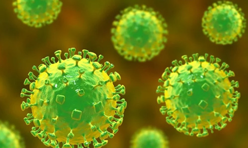 നിപ സ്ഥിരീകരിച്ച 42കാരിയുടെ ആരോഗ്യ നില ഗുരുതരമായി തുടരുന്നു നിപ സ്ഥിരീകരിച്ച 42കാരിയുടെ ആരോഗ്യ നില ഗുരുതരമായി തുടരുന്നു