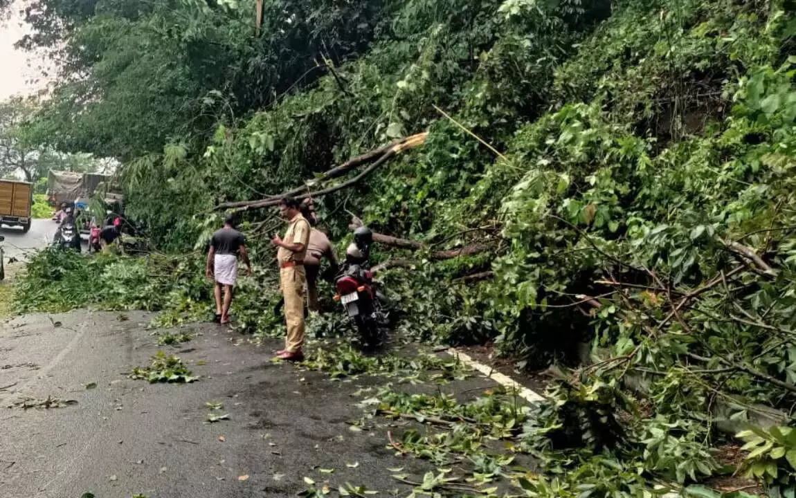 കോഴിക്കോട് മലയോരമേഖലയില് കനത്ത മഴ; താമരശ്ശേരി ചുരത്തില് ഗതാഗതതടസ്സം കോഴിക്കോട് മലയോരമേഖലയില് കനത്ത മഴ; താമരശ്ശേരി ചുരത്തില് ഗതാഗതതടസ്സം