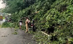 เดเตเดดเดฟเดเตเดเตเดเต เดฎเดฒเดฏเตเดฐเดฎเตเดเดฒเดฏเดฟเดฒเตโ เดเดจเดคเตเดค เดฎเดด; เดคเดพเดฎเดฐเดถเตเดถเตเดฐเดฟ เดเตเดฐเดคเตเดคเดฟเดฒเตโ เดเดคเดพเดเดคเดคเดเดธเตเดธเด เดเตเดดเดฟเดเตเดเตเดเต เดฎเดฒเดฏเตเดฐเดฎเตเดเดฒเดฏเดฟเดฒเตโ เดเดจเดคเตเดค เดฎเดด; เดคเดพเดฎเดฐเดถเตเดถเตเดฐเดฟ เดเตเดฐเดคเตเดคเดฟเดฒเตโ เดเดคเดพเดเดคเดคเดเดธเตเดธเด