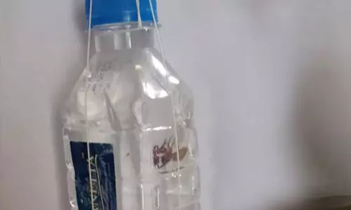 കുപ്പിവെള്ളത്തില് ചത്ത ചിലന്തി; നിര്മാണ കമ്പനിക്ക് ഒരുലക്ഷം രൂപ പിഴയിട്ട് ആര്ഡിഒ കുപ്പിവെള്ളത്തില് ചത്ത ചിലന്തി; നിര്മാണ കമ്പനിക്ക് ഒരുലക്ഷം രൂപ പിഴയിട്ട് ആര്ഡിഒ