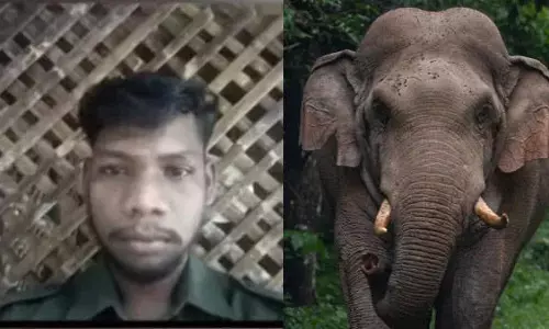 വാഴച്ചാലില്‍ കാട്ടാന ആക്രമണത്തില്‍ രണ്ടുപേര്‍ കൊല്ലപ്പെട്ട സംഭവം; ആംബുലന്‍സ് തടഞ്ഞ് നാട്ടുകാര്‍