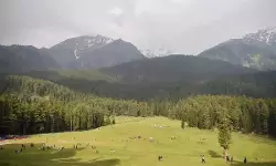 പഹല്‍ഗാം ആക്രമണം; ഇന്ത്യയിലെ പാക് എക്‌സ് അക്കൗണ്ട് മരവിപ്പിച്ചു