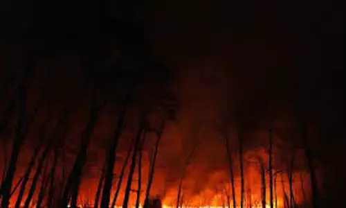 ന്യൂ ജേഴ്‌സിയില്‍ കാട്ടുതീ; 3000 പേരെ ഒഴിപ്പിച്ചു, 25,000ത്തോളം ആളുകള്‍ വൈദ്യുതി ഇല്ലാതെ ഇരുട്ടില്‍; കാട്ടുതീ പടര്‍ന്നത് 8,500 ഏക്കറില്‍