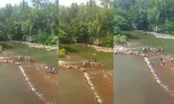 തമിഴ്‌നാട്ടില്‍ ഡാമില്‍ കുളിക്കുന്നതിനിടെ അപകടം;  മൂന്ന് വിദ്യാര്‍ഥികള്‍ മുങ്ങിമരിച്ചു