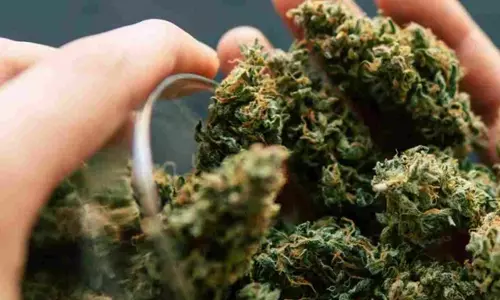 രണ്ട് യുവസംവിധായകര് അറസ്റ്റില്; ഫ്ളാറ്റില് നിന്നും 1.6 ഗ്രാം ഹൈബ്രിഡ് കഞ്ചാവ് പിടിച്ചെന്ന് എക്സൈസ് രണ്ട് യുവസംവിധായകര് അറസ്റ്റില്; ഫ്ളാറ്റില് നിന്നും 1.6 ഗ്രാം ഹൈബ്രിഡ് കഞ്ചാവ് പിടിച്ചെന്ന് എക്സൈസ്