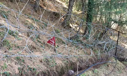 ഇന്ത്യാ-പാക് അതിര്‍ത്തിയില്‍ വെടിവയ്പ്പ്; ഇരുസര്‍ക്കാരുകളും സംയമനം പാലിക്കണമെന്ന് ഐക്യരാഷ്ട്രസഭ