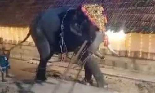 ഉത്സവ എഴുന്നള്ളിപ്പിനിടയില് ആന ഇടഞ്ഞു; ചുറ്റമ്പലം അടിച്ചുതകര്ത്തു ഉത്സവ എഴുന്നള്ളിപ്പിനിടയില് ആന ഇടഞ്ഞു; ചുറ്റമ്പലം അടിച്ചുതകര്ത്തു