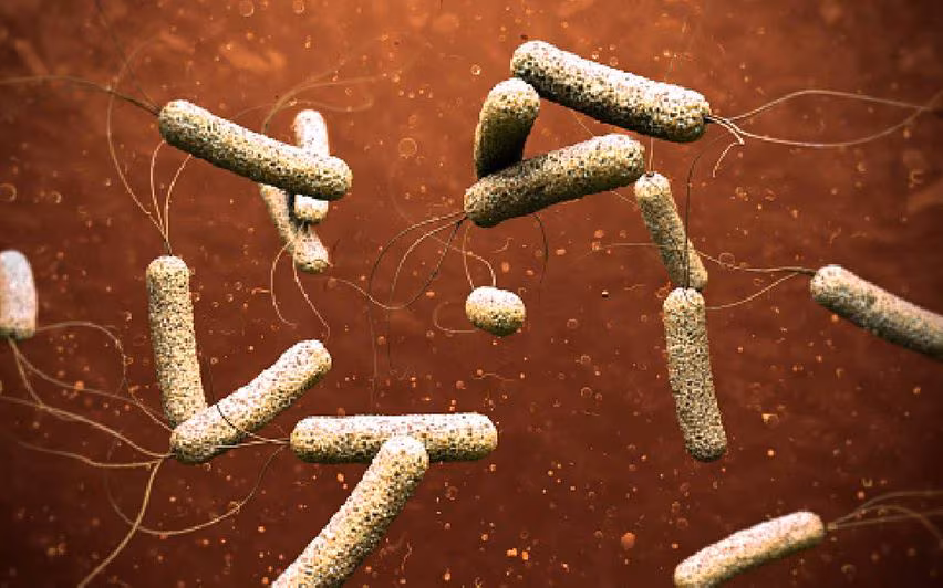 തിരുവനന്തപുരത്തെ കോളറ മരണത്തിൽ ആരോഗ്യവകുപ്പിൻ്റെ അനാസ്ഥയെന്ന് ആരോപണം തിരുവനന്തപുരത്തെ കോളറ മരണത്തിൽ ആരോഗ്യവകുപ്പിൻ്റെ അനാസ്ഥയെന്ന് ആരോപണം