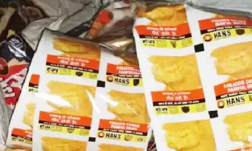 തൃശൂരില്‍ മൂന്നുലക്ഷം പാക്കറ്റ് ഹാന്‍സ് പിടികൂടി