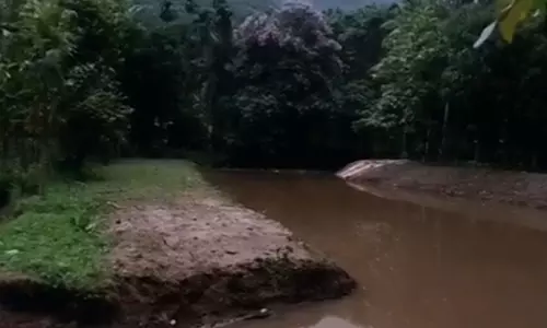 പാലക്കാട് മൂന്നു കുട്ടികള്‍ മുങ്ങിമരിച്ചു