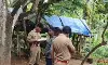 വയനാട് വീണ്ടും പുലിയുടെ ആക്രമണം; വളര്‍ത്തുമൃഗത്തെ കടിച്ചു കൊന്നു