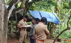 വയനാട് വീണ്ടും പുലിയുടെ ആക്രമണം; വളര്‍ത്തുമൃഗത്തെ കടിച്ചു കൊന്നു