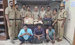 12 കിലോ കഞ്ചാവുമായി മൂന്ന് ബംഗാള് സ്വദേശികള് പിടിയില് 12 കിലോ കഞ്ചാവുമായി മൂന്ന് ബംഗാള് സ്വദേശികള് പിടിയില്