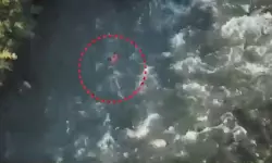 സൈന്യം കസ്റ്റഡിയിൽ എടുത്ത കശ്മീരി യുവാവ് നദിയിൽ മരിച്ച നിലയിൽ; സ്വയം ചാടി മരിച്ചെന്ന് പോലിസ്, അന്വേഷണം വേണമെന്ന് നാഷണൽ കോൺഫറൻസും പിഡിപിയും സൈന്യം കസ്റ്റഡിയിൽ എടുത്ത കശ്മീരി യുവാവ് നദിയിൽ മരിച്ച നിലയിൽ; സ്വയം ചാടി മരിച്ചെന്ന് പോലിസ്, അന്വേഷണം വേണമെന്ന് നാഷണൽ കോൺഫറൻസും പിഡിപിയും