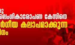 ഒരു ലൈംഗികാരോപണ കേസിനെ   വര്‍ഗീയ കലാപമാക്കുന്ന വിധം