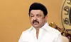 ഇന്ത്യക്ക് ഐക്യദാര്‍ഢ്യം പ്രഖ്യാപിച്ച് ചെന്നൈയില്‍ നാളെ മഹാറാലി; മുഖ്യമന്ത്രി എം കെ സ്റ്റാലിന്‍ നേതൃത്വം കൊടുക്കും