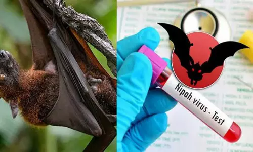 നിപ സ്ഥിരീകരിച്ച 42കാരി ഗുരുതരാവസ്ഥയില്; ആറു പേര്ക്ക് രോഗ ലക്ഷണം നിപ സ്ഥിരീകരിച്ച 42കാരി ഗുരുതരാവസ്ഥയില്; ആറു പേര്ക്ക് രോഗ ലക്ഷണം