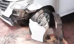 കണ്ണൂര്‍ ഡെപ്യൂട്ടി കലക്ടറുടെ കാര്‍ കടിച്ച് പറിച്ച് തെരുവ്‌നായ്ക്കള്‍