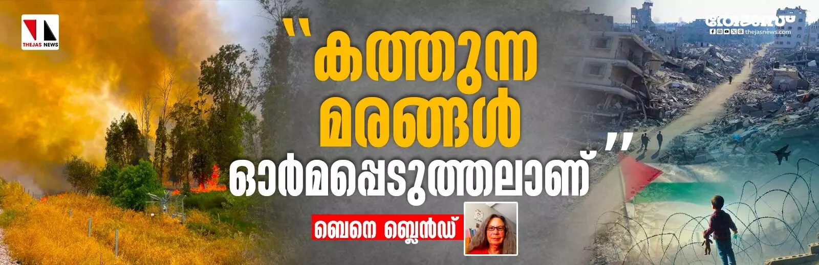 കത്തുന്ന മരങ്ങള് ഓര്മപ്പെടുത്തലാണ് കത്തുന്ന മരങ്ങള് ഓര്മപ്പെടുത്തലാണ്