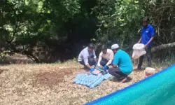 പള്ളിയില്‍ നിന്നും ഖുര്‍ആനുകള്‍ മോഷണം പോയി; വയലില്‍ കത്തിച്ച നിലയില്‍