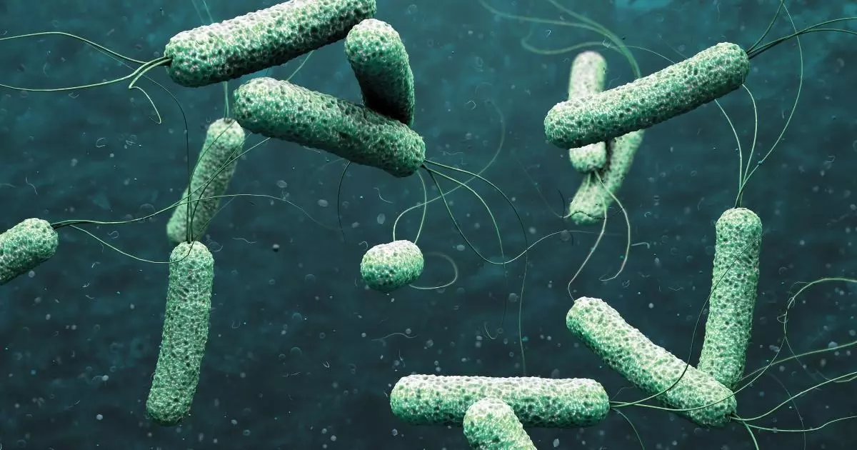 ആലപ്പുഴയില്‍ കോളറ സ്ഥിരീകരിച്ചു