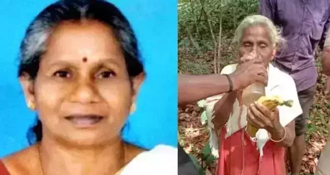 മാനന്തവാടിയില് വനത്തിനുള്ളില് കാണാതായ വയോധികയെ കണ്ടെത്തി മാനന്തവാടിയില് വനത്തിനുള്ളില് കാണാതായ വയോധികയെ കണ്ടെത്തി