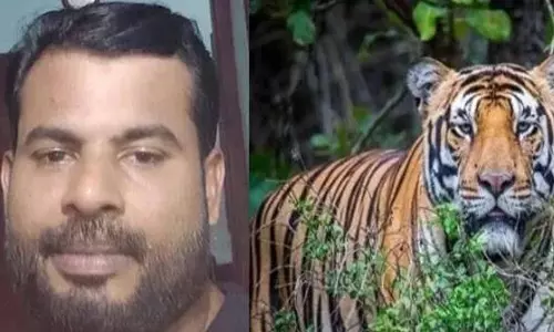 കാളികാവിലെ  കടുവ ആക്രമണം: ക​ഴു​ത്തി​ന് പി​റ​കി​ലും ക​ശേ​രു​ക്ക​ളി​ലും ആ​ഴ​ത്തി​ൽ ക​ടി​യേ​റ്റ​താ​യി പോ​സ്‌​റ്റു​മോ​ർ​ട്ടം റി​പ്പോ​ർ​ട്ട്