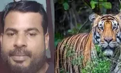 കാമറയില്‍ പതിഞ്ഞ് കടുവ; യുവാവിനെ കൊന്ന കടുവയുടെ ചിത്രം വനം വകുപ്പിന്റെ കാമറയില്‍ പതിഞ്ഞു