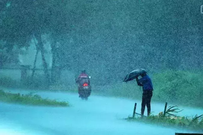 കേരളത്തില് നാളെ മുതല് മഴ സജീവമാവും; നാലു ജില്ലകളില് ഓറഞ്ച് അലര്ട്ട് കേരളത്തില് നാളെ മുതല് മഴ സജീവമാവും; നാലു ജില്ലകളില് ഓറഞ്ച് അലര്ട്ട്